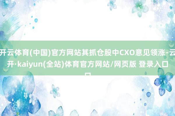 开云体育(中国)官方网站其抓仓股中CXO意见领涨-云开·kaiyun(全站)体育官方网站/网页版 登