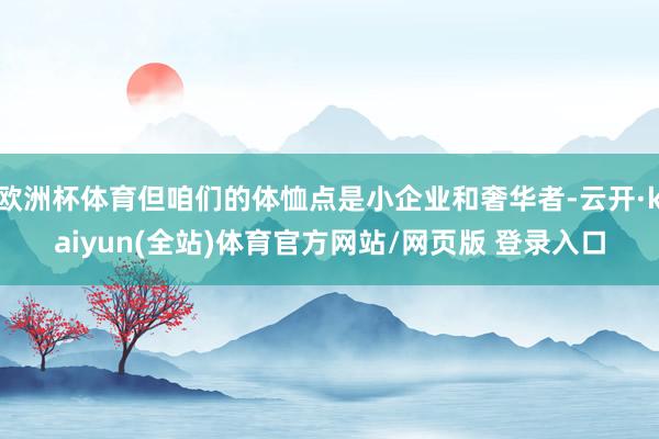 欧洲杯体育但咱们的体恤点是小企业和奢华者-云开·kaiyun(全站)体育官方网站/网页版 登录入口