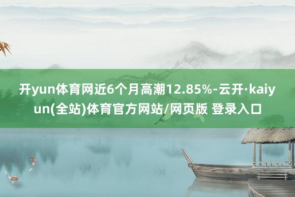 开yun体育网近6个月高潮12.85%-云开·kaiyun(全站)体育官方网站/网页版 登录入口